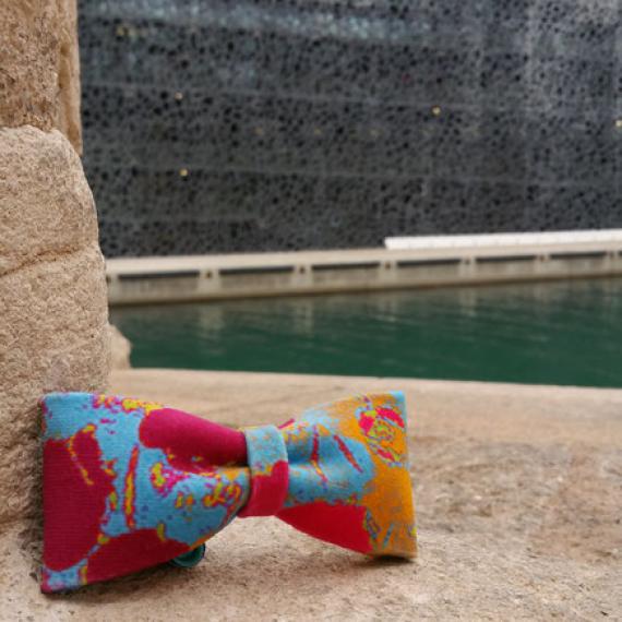 Noeud Papillon Flashy